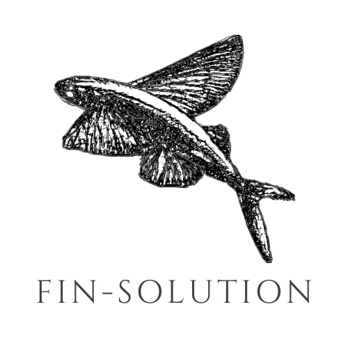 Fin-Solution